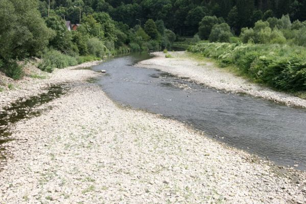 Čadca-Horelica, 31.7.2013
Štěrkové náplavy řeky Kysuci.
Mots-clés: Čadca Horelica Kysuca