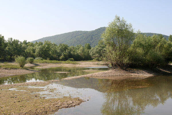 Chľaba, 5.6.2014 
Stará pískovna.
Klíčová slova: Chľaba soutok Dunaj Ipeľ