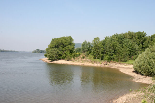 Chľaba, 5.6.2014 
Břeh Dunaje před soutokem Dunaje a Ipľa.
Keywords: Chľaba soutok Dunaj Ipeľ