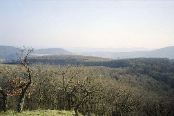 Hajnáčka, 30.3.2002
Pohled od Ostré skaly na jih.
Klíčová slova: Hajnáčka Ostrá skala