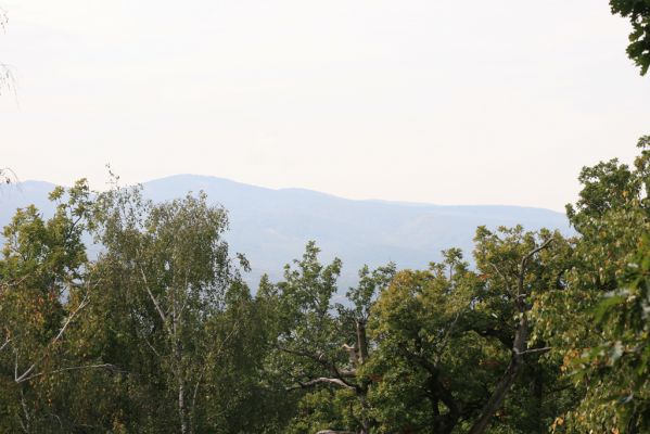 Veľký Klíž, 8.10.2016
Vrch Malá Suchá - pohled na Tríbeč. 
Klíčová slova: Veľký Klíž vrch Veľká Suchá Tríbeč
