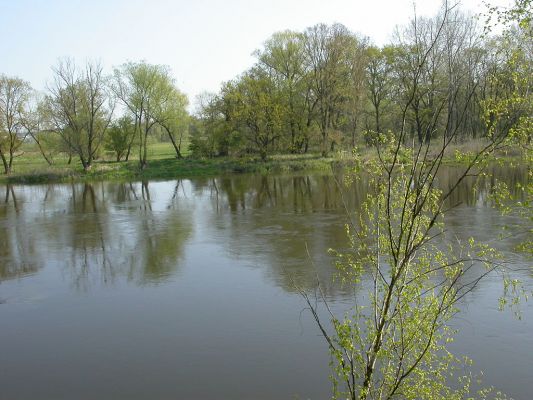 řeka Warta u obce Baranowo
Pohled na řeku ze sutého písčitého břehu.
