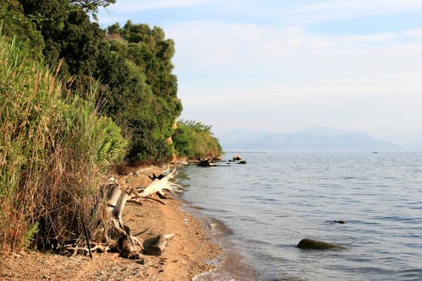 Agia Apostoli
Úzká pláž pod hájem prastarých solitérních dubů v Agii Apostoli.
Klíčová slova: Preveza Agia Apostoli