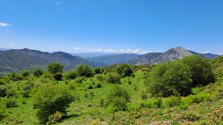 Artemisia, 3.5.2024
Taygetos - pastviny pod sedlem Langada.
Klíčová slova: Peloponnese Messenia Taygetos Mts. Artemisia Langada pass