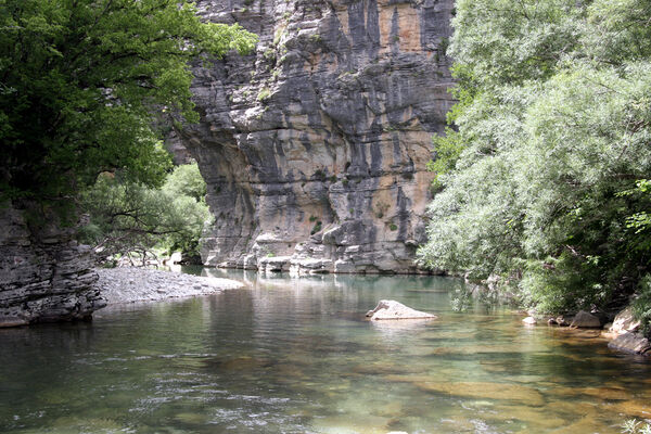 Koukouli, 15.6.2010
Vikos river.
Klíčová slova: Epirus, Ioannina, Aspraggeli, Koukouli Vikos river Anostirus pseudozenii