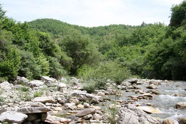 Koukouli, 15.6.2010
Vikos river.
Klíčová slova: Epirus, Ioannina, Aspraggeli, Koukouli Vikos river