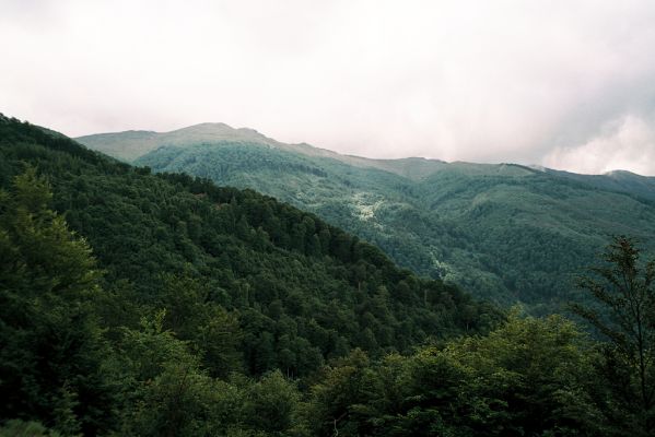 Petrič, pohoří Belasica, 7.6.2006
Bukový les cestou k alpínu.

Mots-clés: Petrič Belasica