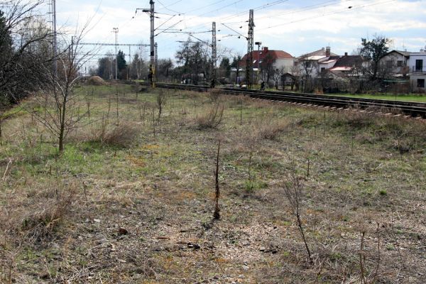 Březhrad, 3.4.2010
Rozsáhlá štěrková plocha u železniční trati vzniklá po odstranění kolejí. Biotop kovaříka Zorochros meridionalis. 
Keywords: Březhrad Zorochros meridionalis