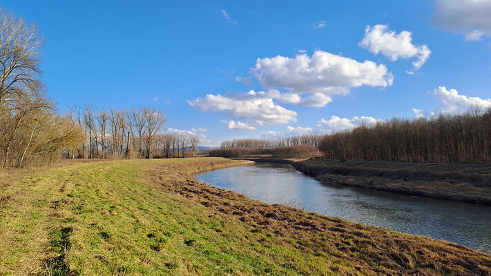 Bzenec, Přívoz, 28.2.2025
Dubová. Regulované koryto řeky Moravy.
Klíčová slova: Bzenec Přívoz Dubová řeka Morava