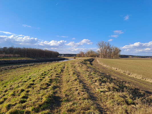 Bzenec, Přívoz, 28.2.2025
Dubová. Regulované koryto řeky Moravy.
Klíčová slova: Bzenec Přívoz Dubová řeka Morava