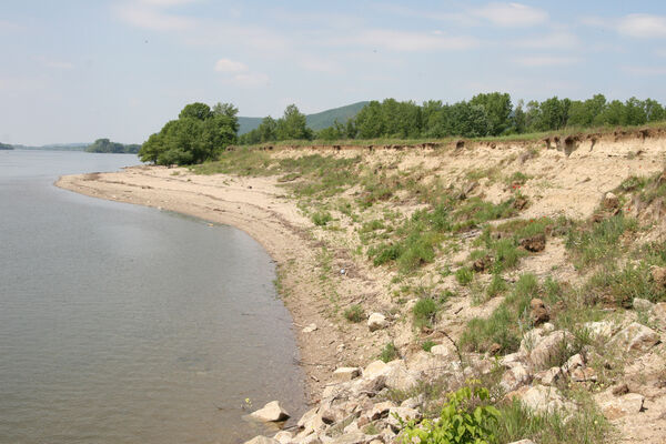 Chľaba, 5.6.2014
Břeh Dunaje před soutokem s Ipľa.
Klíčová slova: Chľaba soutok Dunaj Ipeľ