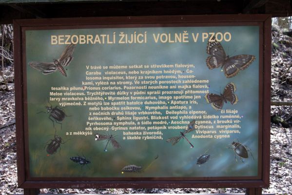 Chomutov, 26.3.2012
Informační tabule v Zooparku.
Mots-clés: Krušné hory Chomutov Zoopark