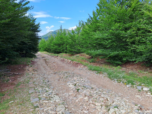 Ukbibaj, 28.6.2024
Nad Ukbibajem to již bylo horší...
Klíčová slova: Shkodër Cukal Highlands Ukbibaj