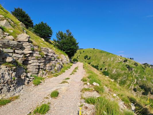 Ukbibaj, 28.6.2024
Přes nekonečné pastviny na svazích hory Maja Cukalit.
Klíčová slova: Shkodër Cukal Highlands Maja Cukalit