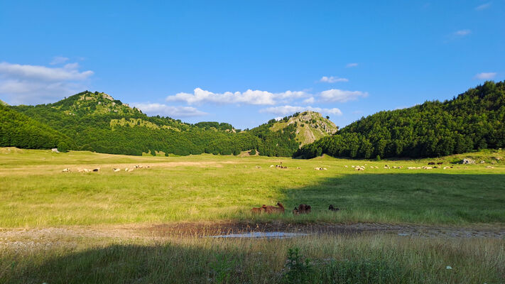 Ukbibaj, 28.6.2024
A jsme v cíli v kotlině s pastvinami mezi Maja e Muleqithit a Maja Cukalit.
Klíčová slova: Shkodër Cukal Highlands Dima moraveci