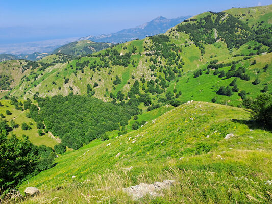 Ukbibaj, 29.6.2024
Nekonečné pastviny na svazích hory Maja Cukalit.
Klíčová slova: Shkodër Cukal Highlands