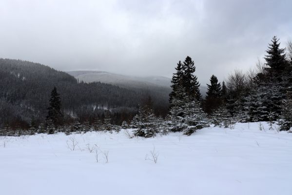 Králický Sněžník, pohled od mramorového lomu na údolí Moravy.
Klíčová slova: Dolní Morava Králický Sněžník mramorový lom Morava