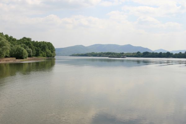 Chľaba, 6.5.2014
Na soutoku řek Ipeľu a Dunaje.


Keywords: Chľaba Ipeľ Dunaj