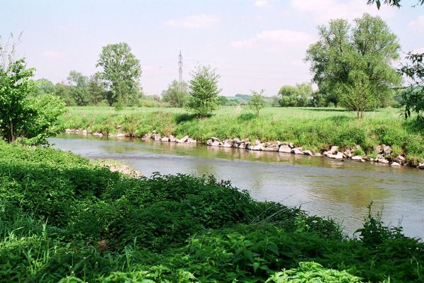 Háj ve Slezsku, Opava, 25.5.2005
Zde má řeka zákaz meandrování - břeh zpevněný kamením.
Keywords: Háj ve Slezsku Opava
