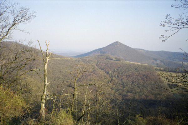 Hajnáčka, 30.3.2002
Pohled z Ostré skaly na Ragáč.



Klíčová slova: Hajnáčka Ostrá skala Ragáč Cardiophorus anticus