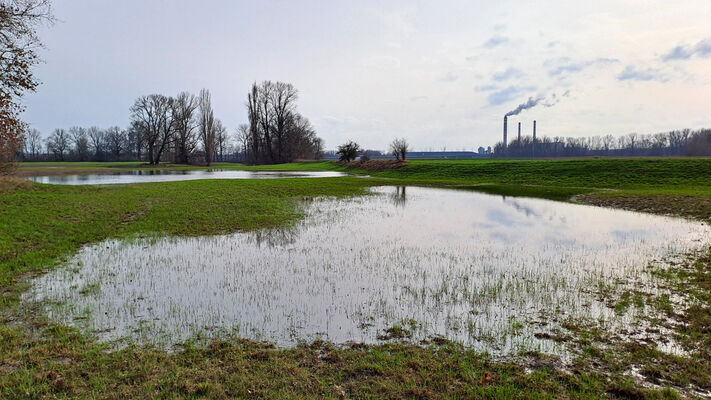 Opatovice nad Labem, 1.3.2024
Hrozná po zimních povodních.
Klíčová slova: Opatovice nad Labem Hrozná slepé rameno Labe