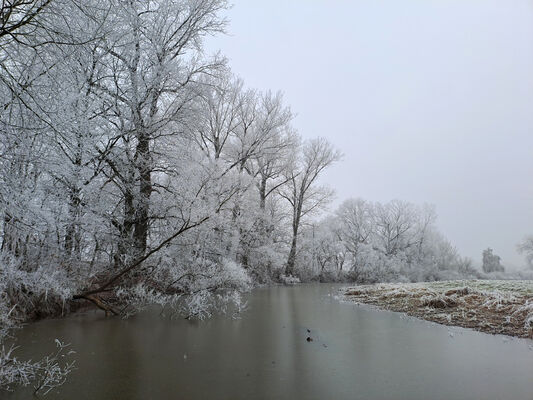 Opatovice nad Labem, 31.12.2024
Hrozná - slepé rameno Labe.
Klíčová slova: Opatovice nad Labem Hrozná slepé rameno Labe