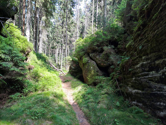 Teplice nad Metují, 9.6.2024
Klíčová slova: Teplice nad Metují Adršpašsko-teplické skály Ledová rokle Sericus subaeneus