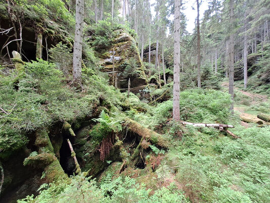 Teplice nad Metují, 9.6.2024
Klíčová slova: Teplice nad Metují Adršpašsko-teplické skály Ledová rokle Sericus subaeneus