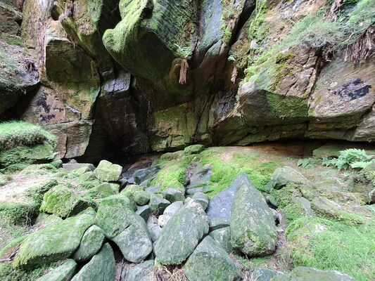 Teplice nad Metují, 9.6.2024
Vlčí vodopád - biotop kovaříka Sericus subaeneus.
Klíčová slova: Teplice nad Metují Adršpašsko-teplické skály Ledová rokle Sericus subaeneus