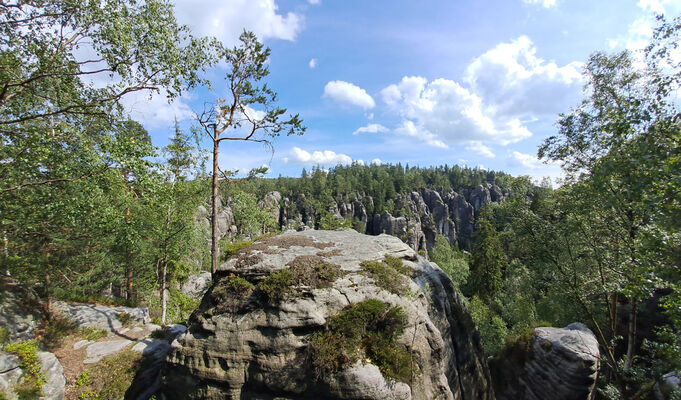 Teplice nad Metují, 9.6.2024
Teplické skály - vyhlídka U Roklin.
Klíčová slova: Teplice nad Metují Adršpašsko-teplické skály Teplické skály