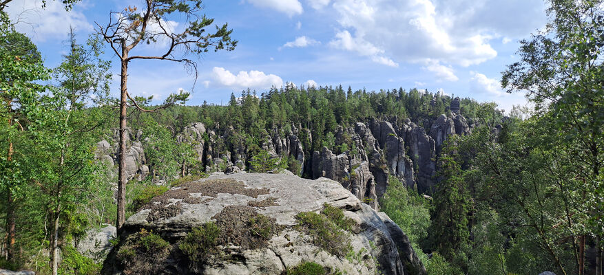 Teplice nad Metují, 9.6.2024
Teplické skály - vyhlídka U Roklin.
Klíčová slova: Teplice nad Metují Adršpašsko-teplické skály Teplické skály