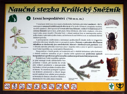 Králický Sněžník, 27.8.2008
Údolí Moravy - informační tabule.
Klíčová slova: Králický Sněžník