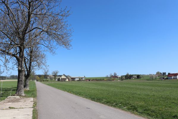 Kunvald, 25.4.2019
Končiny - pastvina.
Mots-clés: Kunvald Končiny pastvina