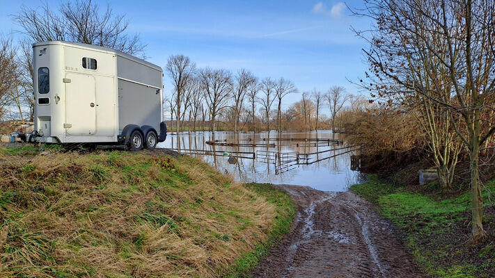 Němčice, 27.12.2023
Zimní záplava na pastvinách.
Keywords: Němčice Labe povodeň