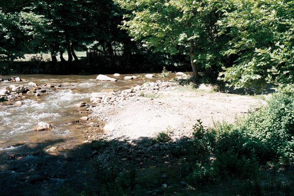 Lebnica, 5.6.2006
Štěrkové náplavy říčky Lebnice.



Klíčová slova: Lebnica Lebnica river Zorochros alysidotus meridionalis