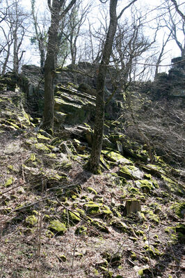 Horní Břečkov, 31.3.2016
Ledové sluje.
Klíčová slova: Podyjí Horní Břečkov Ledové sluje Sericus subaeneus