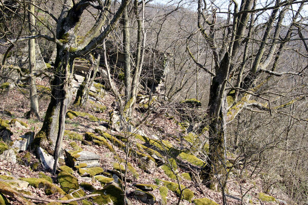 Horní Břečkov, 31.3.2016
Ledové sluje.
Klíčová slova: Podyjí Horní Břečkov Ledové sluje