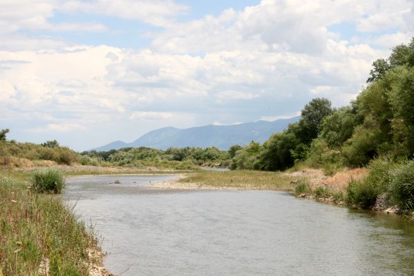 Loutra Ipatis, 31.5.2014
Štěrkové náplavy řeky Spercheios. 


Klíčová slova: Loutra Ipatis Spercheios river