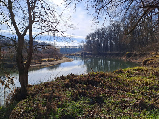 Vracov, 28.2.2025
Meandry Moravy u Oskovce.
Klíčová slova: Vracov Oskovec řeka Morava