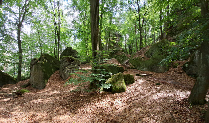 Mnichovo Hradiště, Dneboh, 4.6.2024
Příhrazské skály. 
Klíčová slova: Český ráj Mnichovo Hradiště Dneboh Příhrazské skály