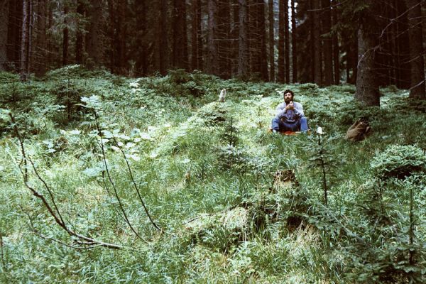 Podbanské, 28.5.1989
Rozsáhlé prameniště v lese na svahu nad levým břehem řehy Belé. Biotop kovaříka Metanomus infuscatus
Schlüsselwörter: Podbanské Metanomus infuscatus