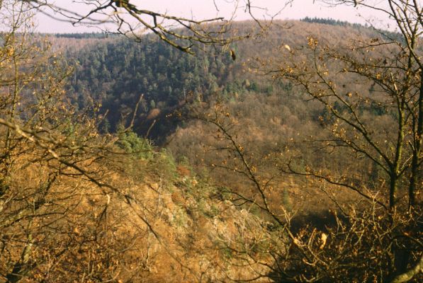 Sedlec, 11.11.1989
Pohled z Vlčího Kopce na svahy u zříceniny hradu Lemberk.
Keywords: Sedlec Vlčí Kopec Lemberk