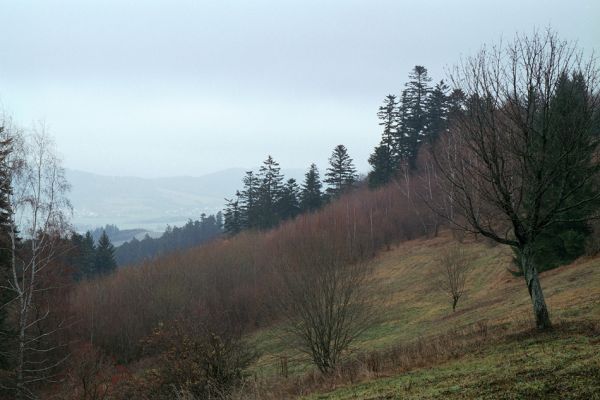 Poteč, 23.11.2003
Zarůstající pastviny pod horským hřbetem. Pohled na jedlové lesy.
Schlüsselwörter: Bílé Karpaty Poteč Ploštiny
