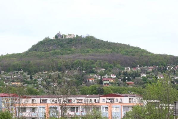 Teplice, Prosetice, 29.4.2012
Doubravská hora.
Klíčová slova: Teplice Prosetice Doubravská hora