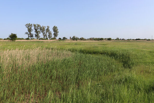 Rakvice, 27.5.2023
Rybníčky.
Klíčová slova: Rakvice Trkmanský Dvůr Rybníčky