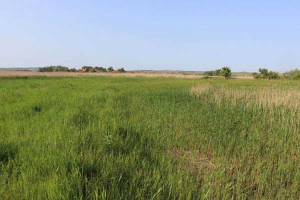 Rakvice, 27.5.2023
Rybníčky.
Klíčová slova: Rakvice Trkmanský Dvůr Rybníčky