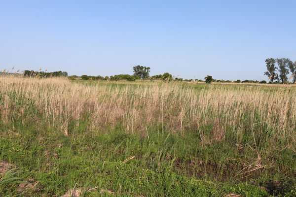 Rakvice, 27.5.2023
Rybníčky.
Klíčová slova: Rakvice Trkmanský Dvůr Rybníčky