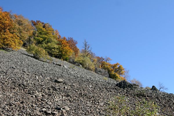 Mimoň, vrch Ralsko, 11.10.2010
Rozsáhlé sutové pole na jižním svahu Ralska. 
Klíčová slova: Mimoň Ralsko