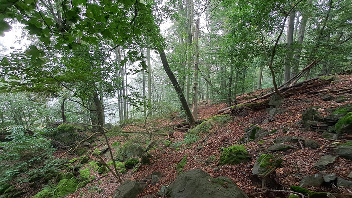 Ústí nad Labem, 7.10.2024
Střekov, Vysoký Ostrý.
Klíčová slova: Ústí nad Labem Střekov Vysoký Ostrý