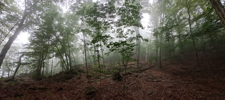 Ústí nad Labem, 7.10.2024
Střekov, Vysoký Ostrý.
Klíčová slova: Ústí nad Labem Střekov Vysoký Ostrý